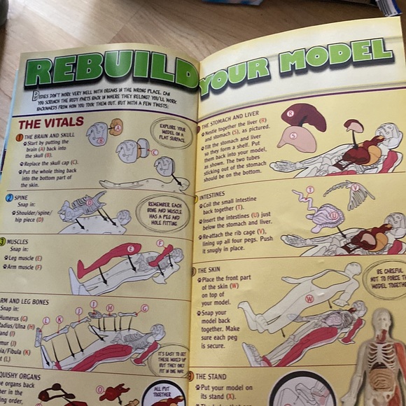 Youth science toy - Squishy Human Body 8+ - Picture 11 of 12